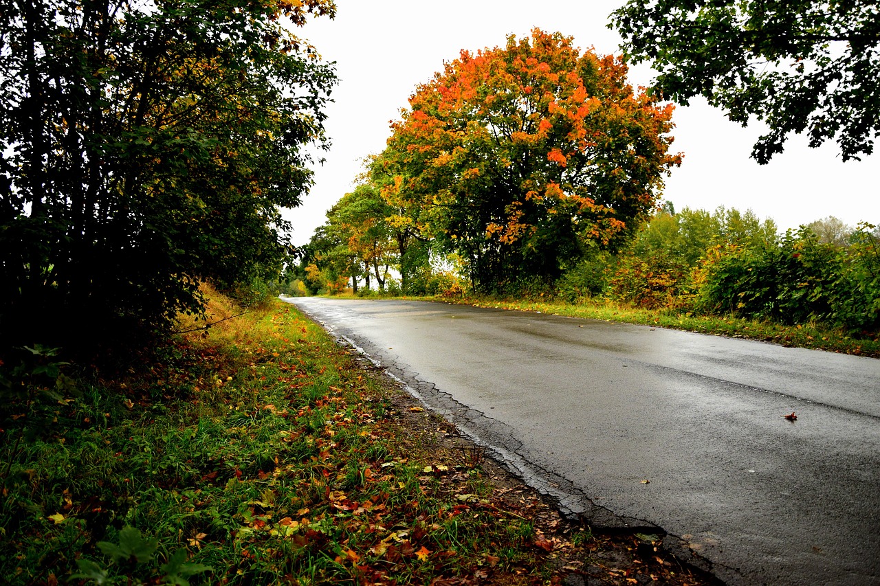 gminna droga z uszkodzeniami